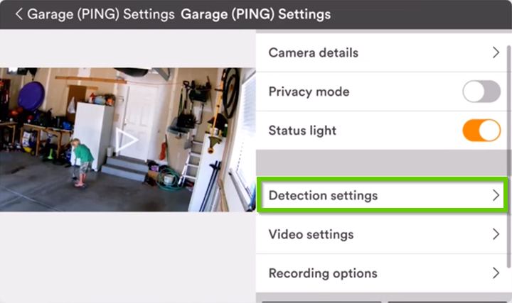 detection settings