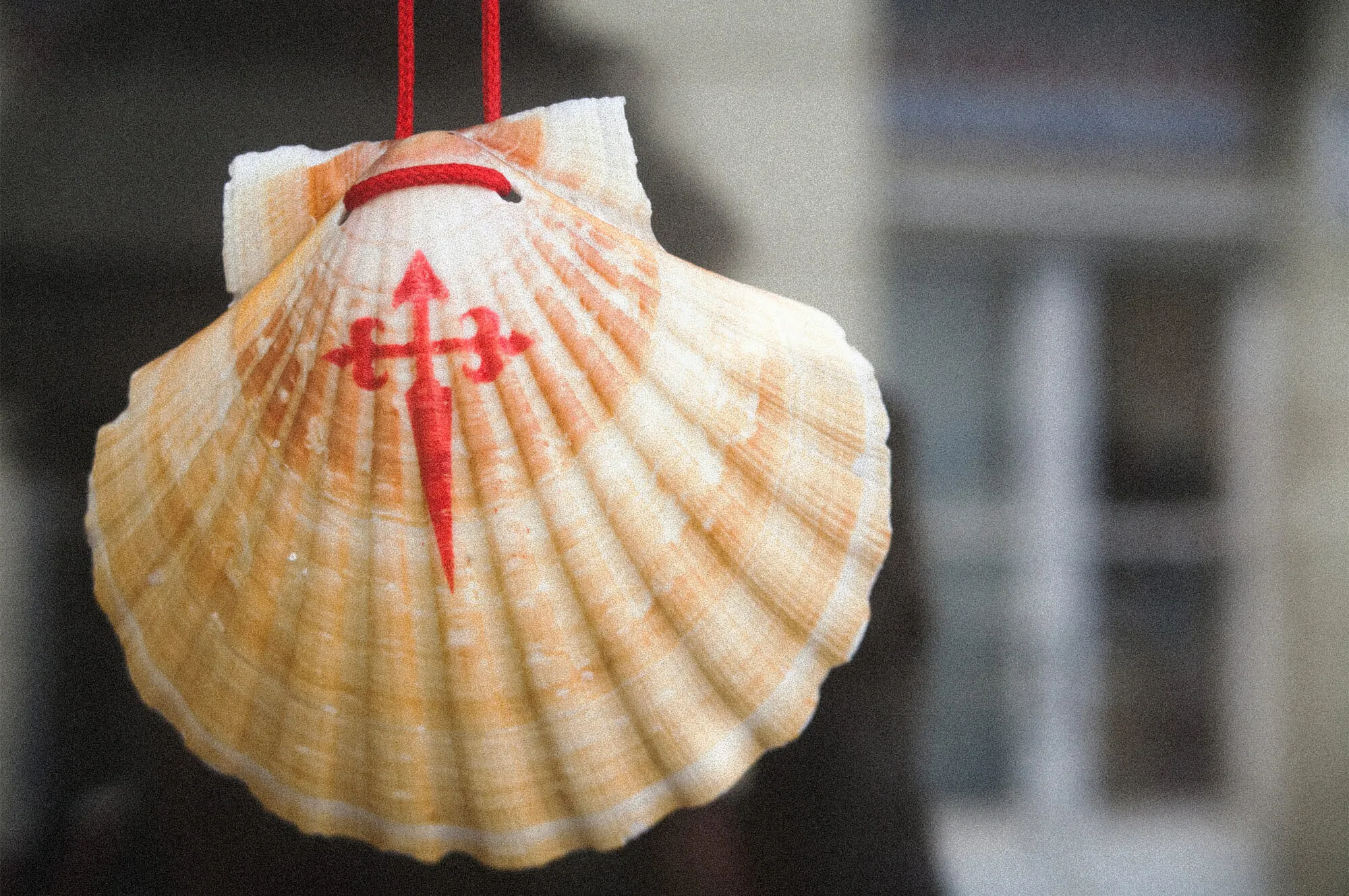 Camino de Santiago Scallop Shell
