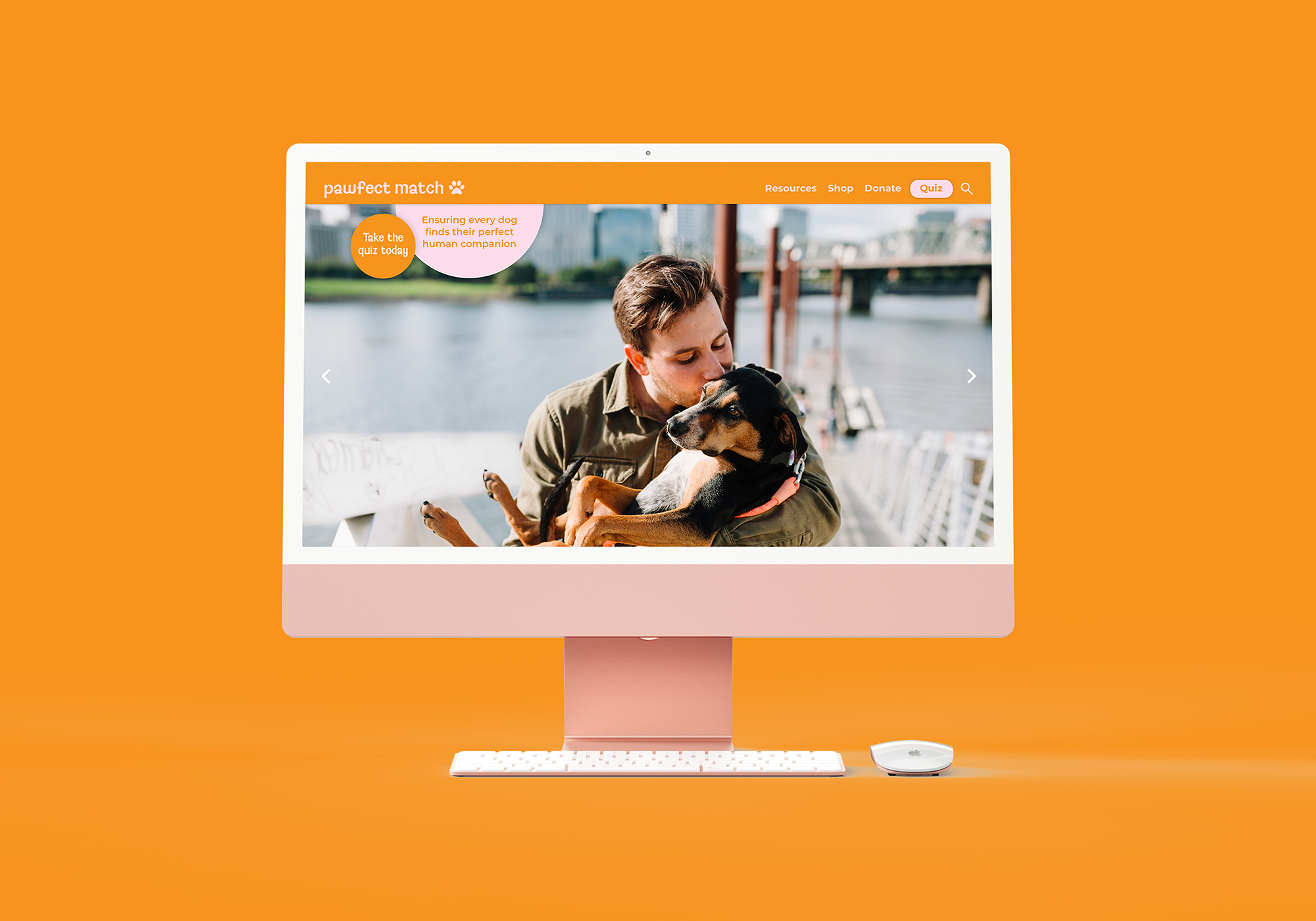 Website design on IMAC 