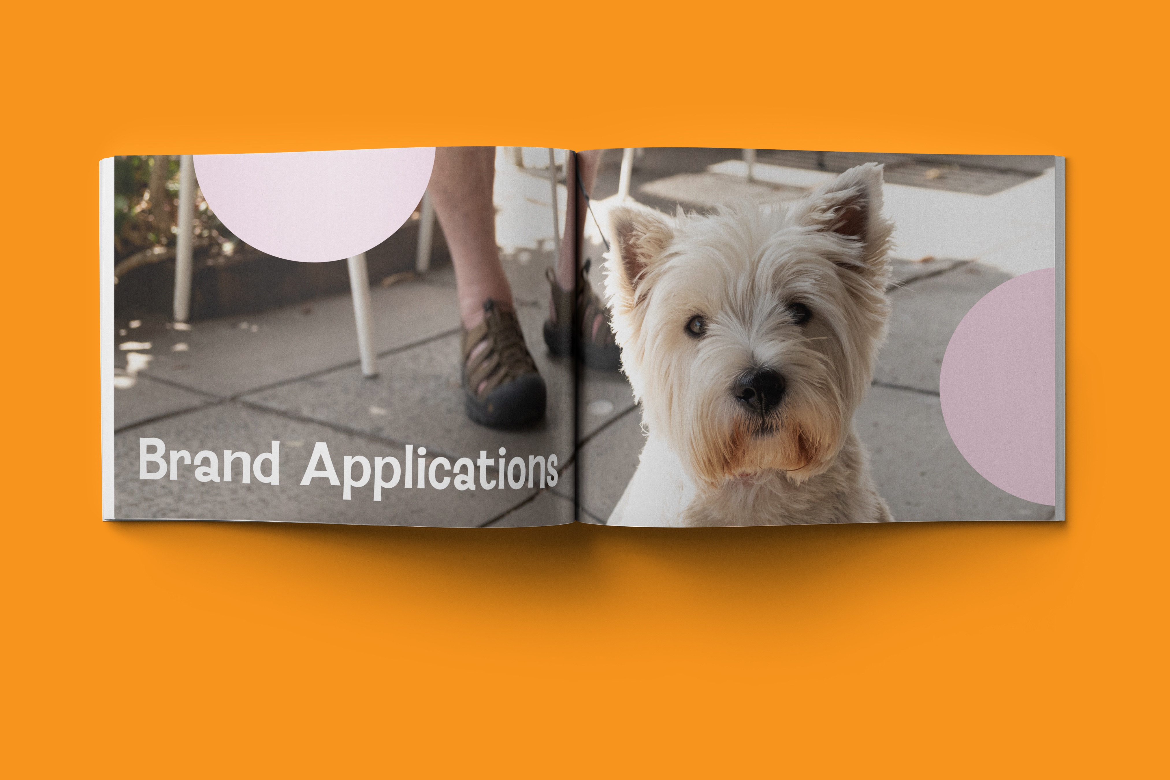 Brand Guidelines brand applications cover page