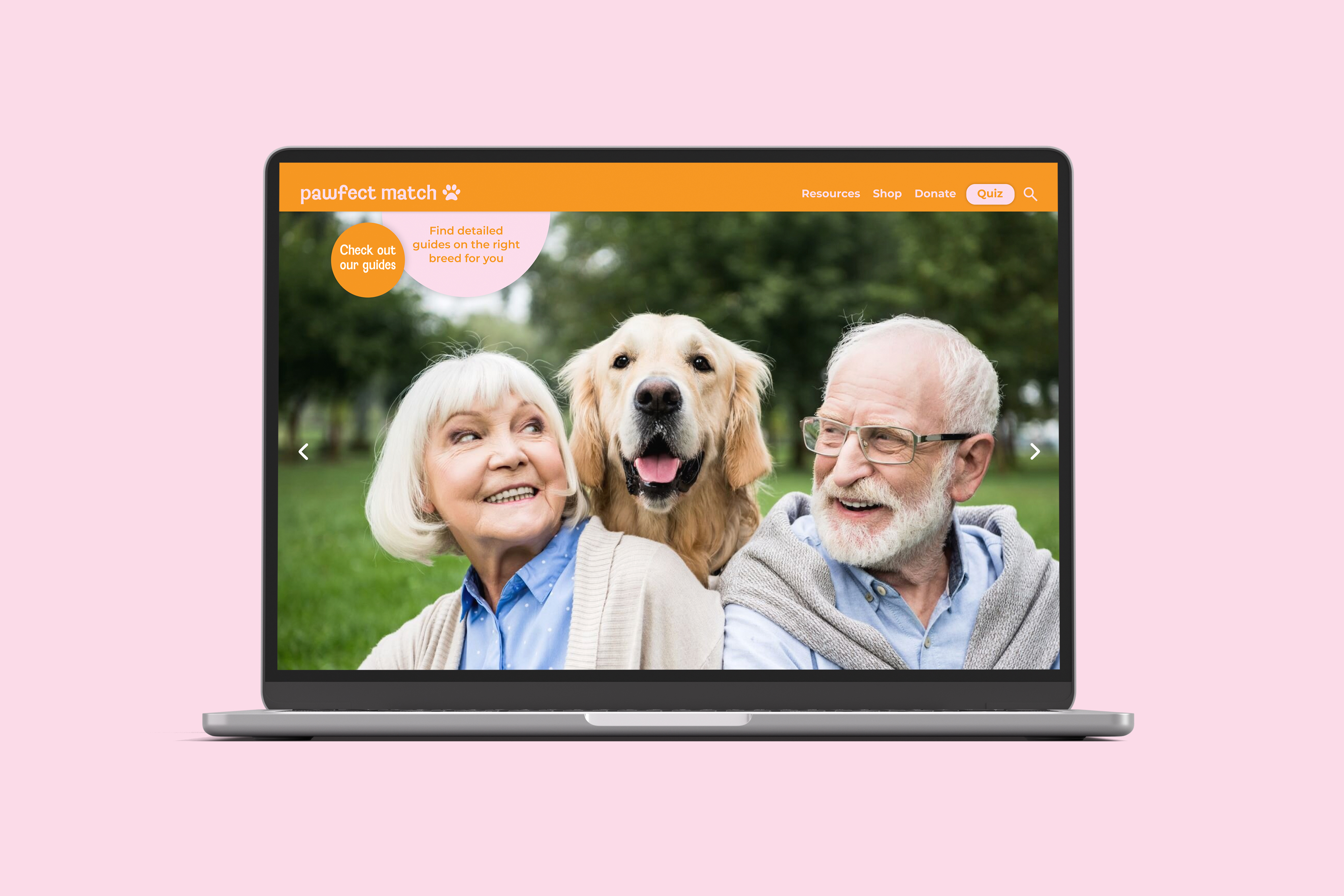 Website Design home page