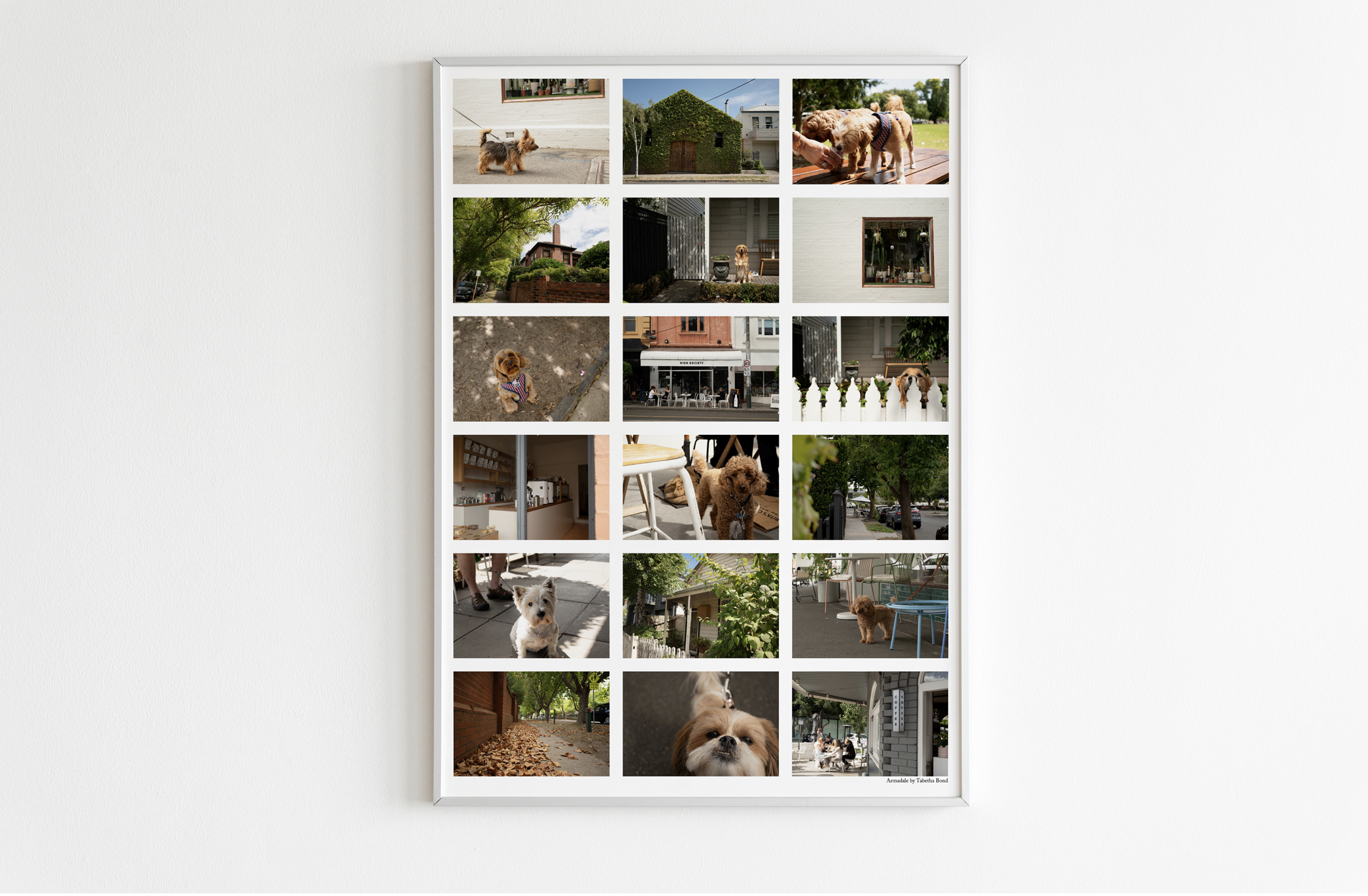 on wall poster of 18 pictures of Armadale 