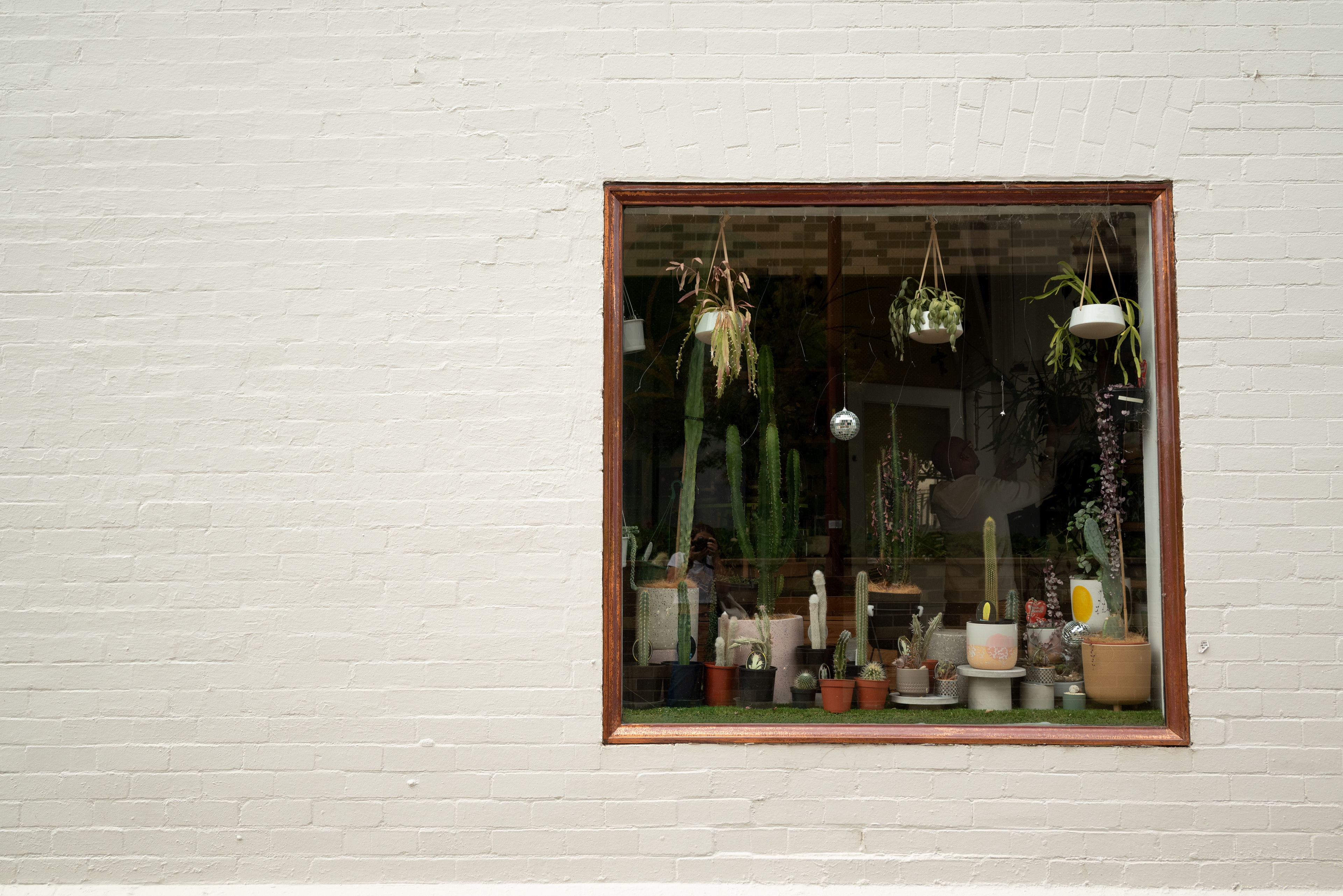 White wall and window to plant shop