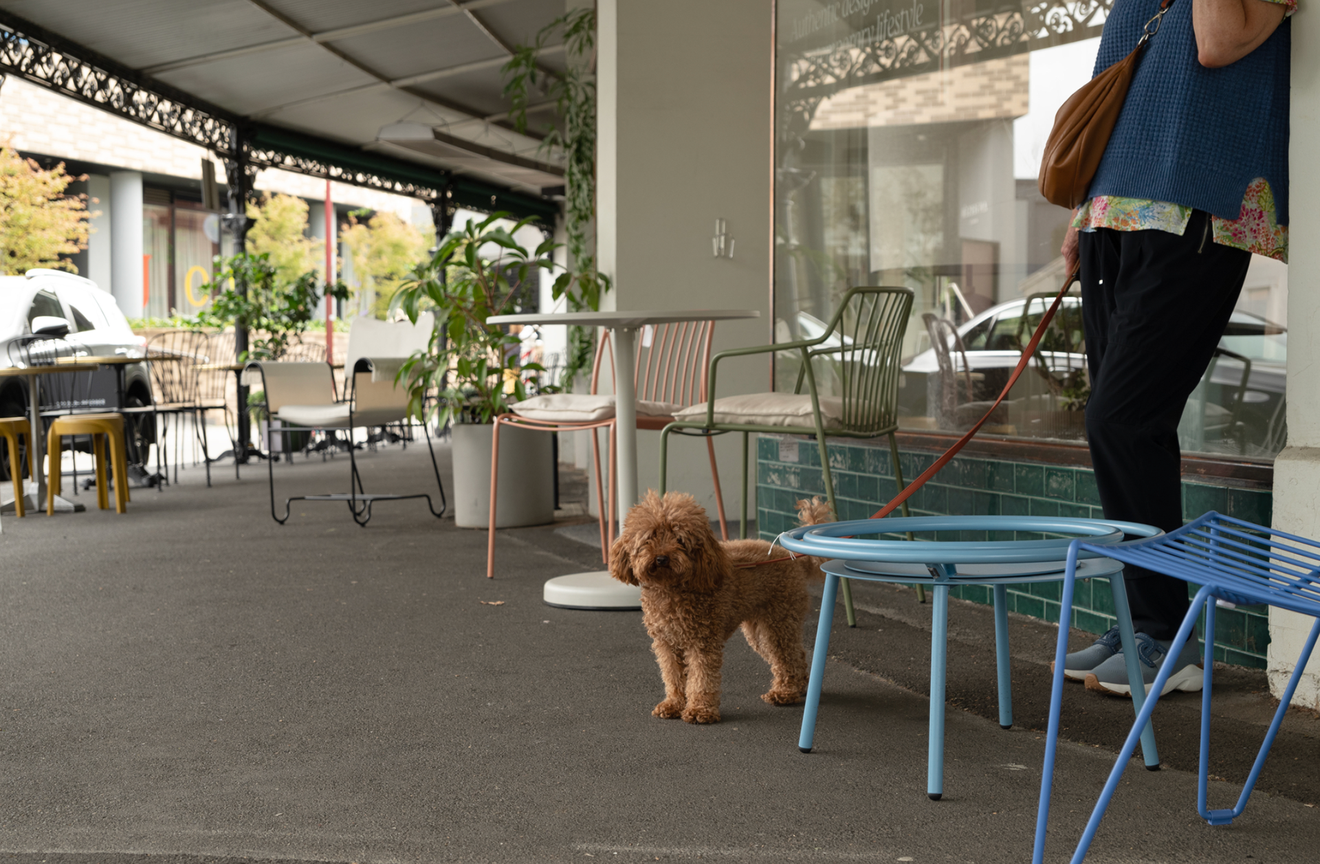 Retail shop front, person and small brown dog 