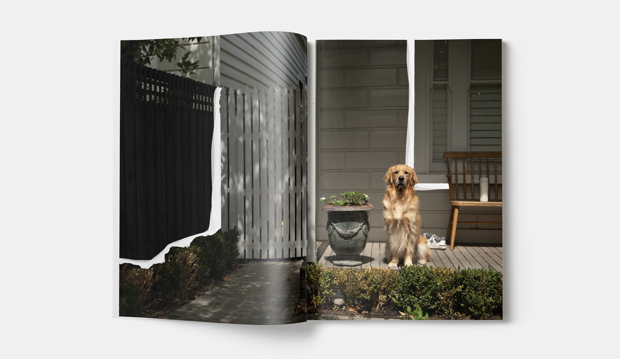 GIF of Idyllic Armadale Publication: Dog sitting on door step