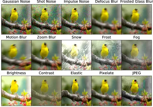 Image corruptions impact model performance 