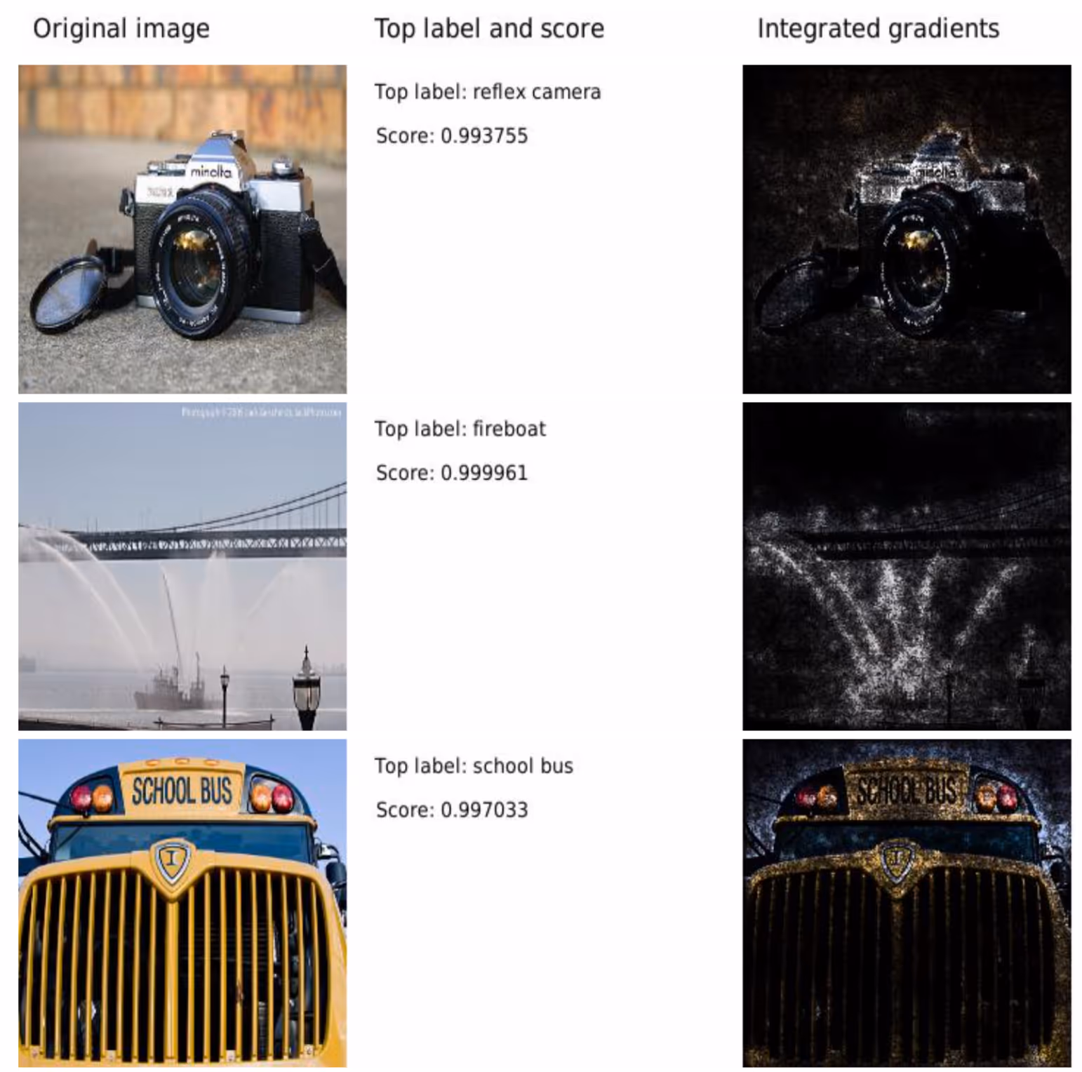 Original image vs. Integrated Gradients highlighting the most important pixels for each image label.