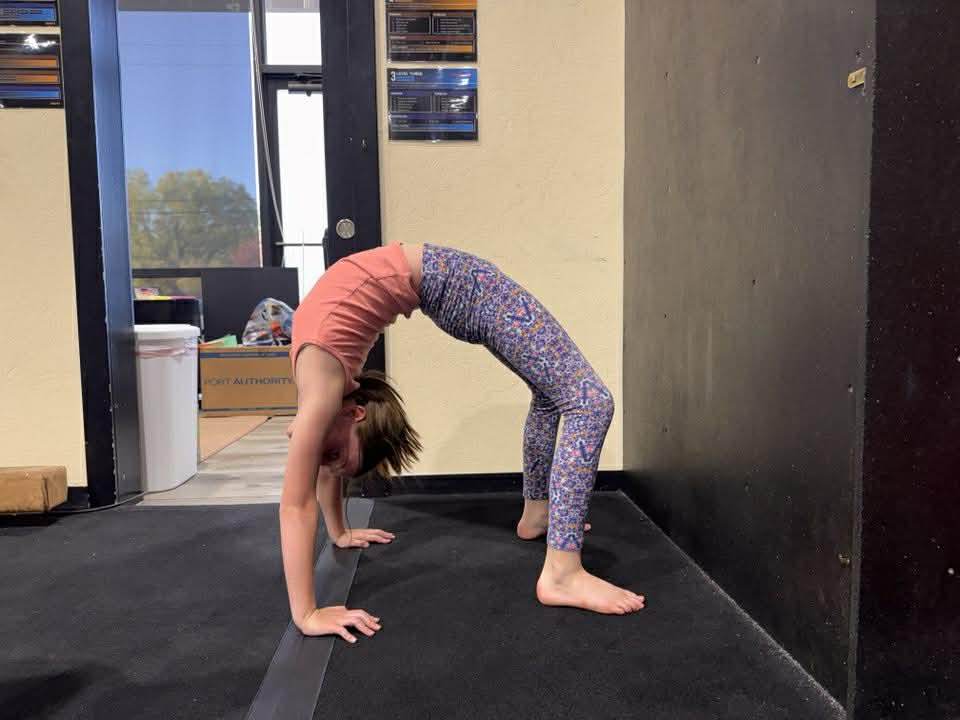 Student bridge skill