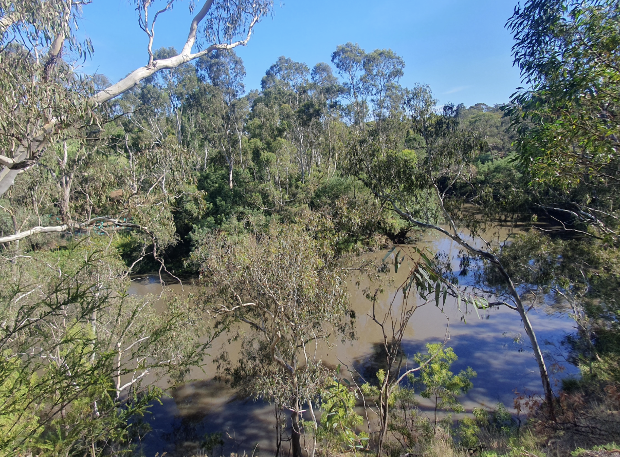 Enabling Sustainable Natural Resource Management Under a Changing Climate 