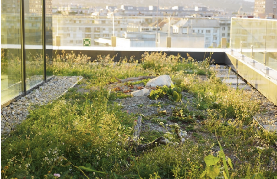 Nature‐based Solutions to Climate Change Adaptation in Urban Areas
