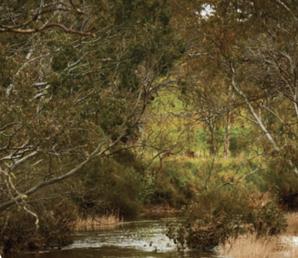 Pilot Water Sector Climate Change Adaptation Action Plan