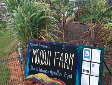 Cultivating climate resilience farming with indigenous knowledge