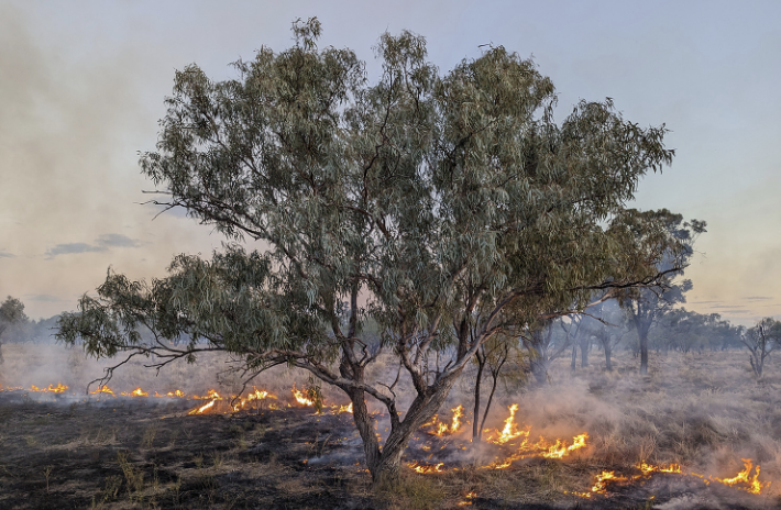 National Indigenous Disaster Resilience 
