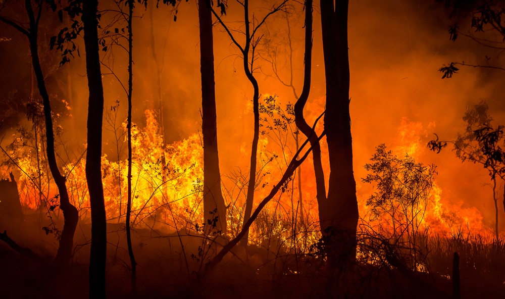 What if it rains? What if there are bushfires?: extreme weather, climate change and music festivals in Australia
