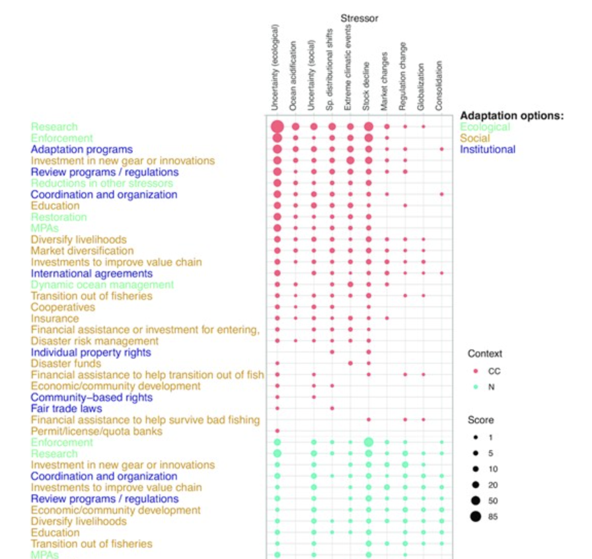 A review of adaptation options in fisheries management to support resilience and transition under socio-ecological change