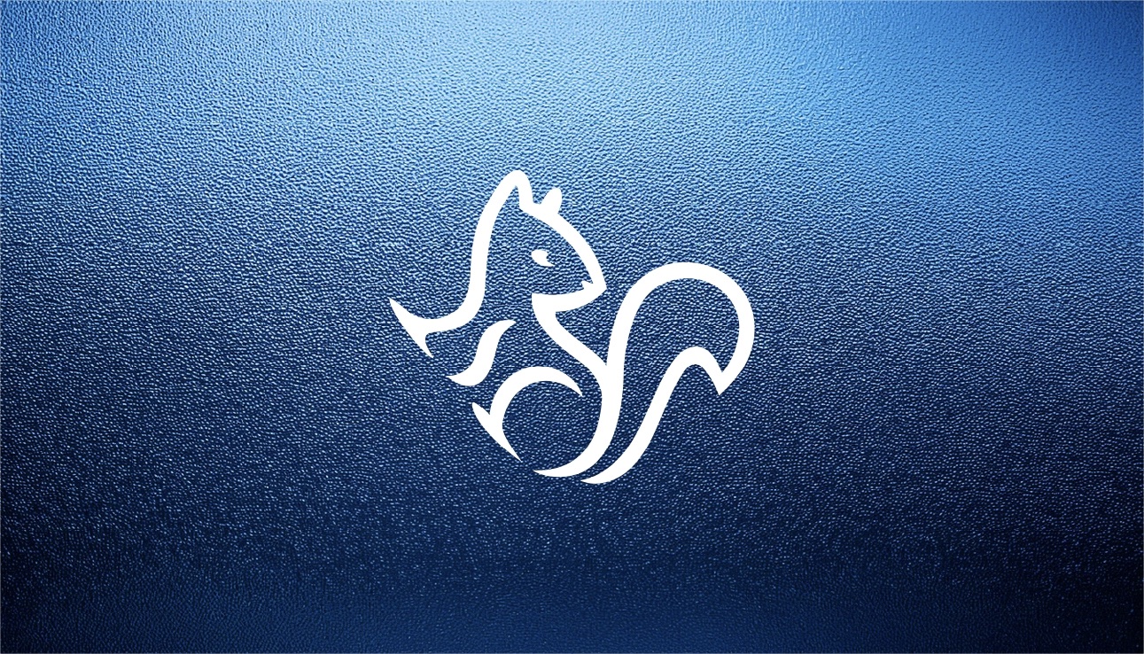 Modern squirrel logo for Summit Bound, crafted by Studio Wisdom branding agency with Tommy Wisdom, blending outdoor grit and design clarity.