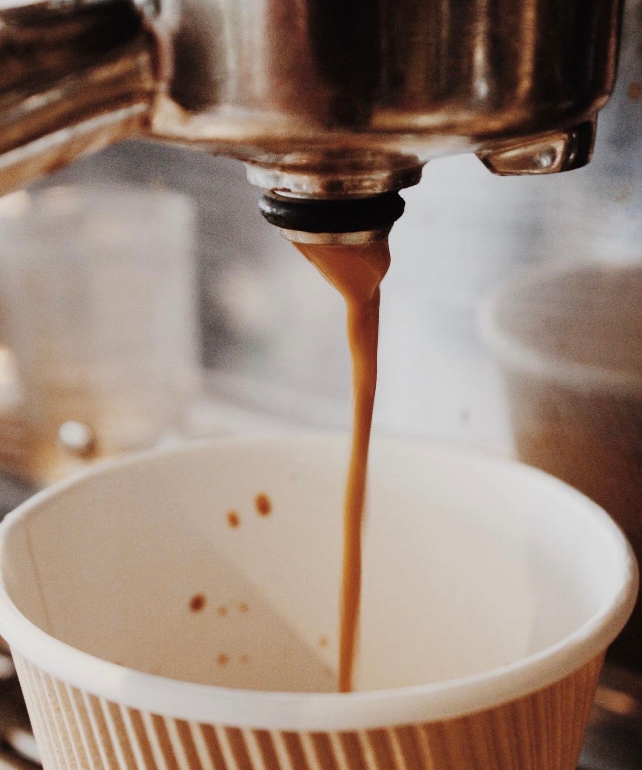 Espresso shot pouring into a cup — highlighting Beantrust’s coffee craft and visual storytelling Studio Wisdom