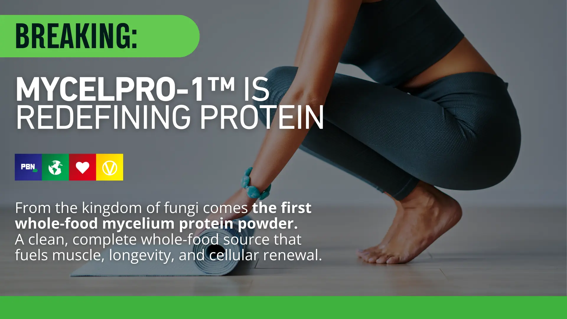 Disruptive Growth For Mycelium Protein (2.86 x ROAS) 3