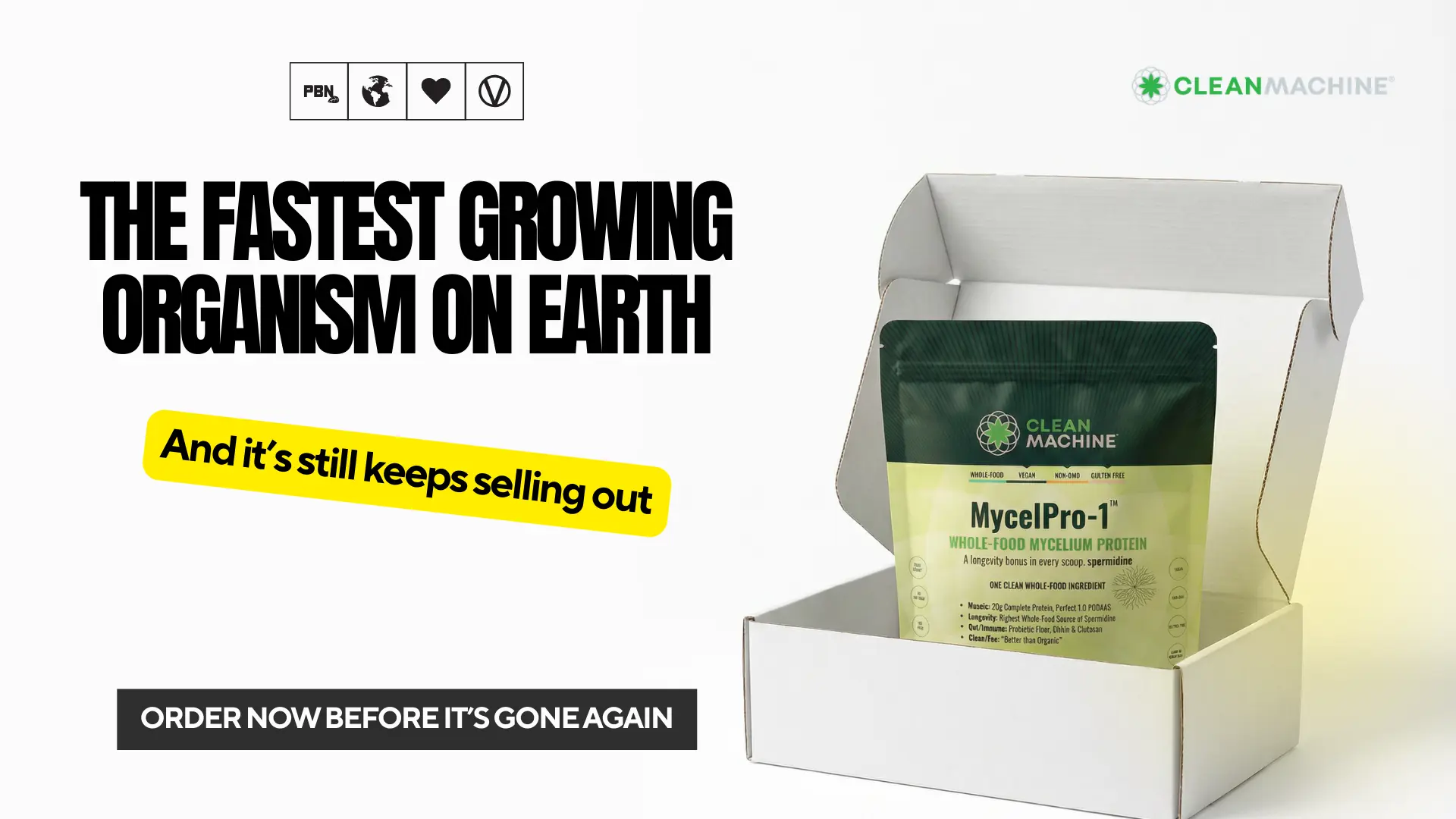 Disruptive Growth For Mycelium Protein (2.86 x ROAS) 4