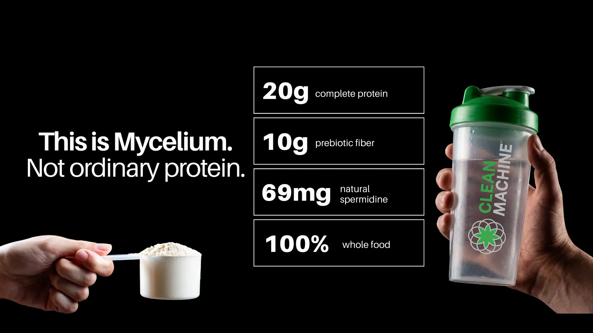 Disruptive Growth For Mycelium Protein (2.86 x ROAS) 5