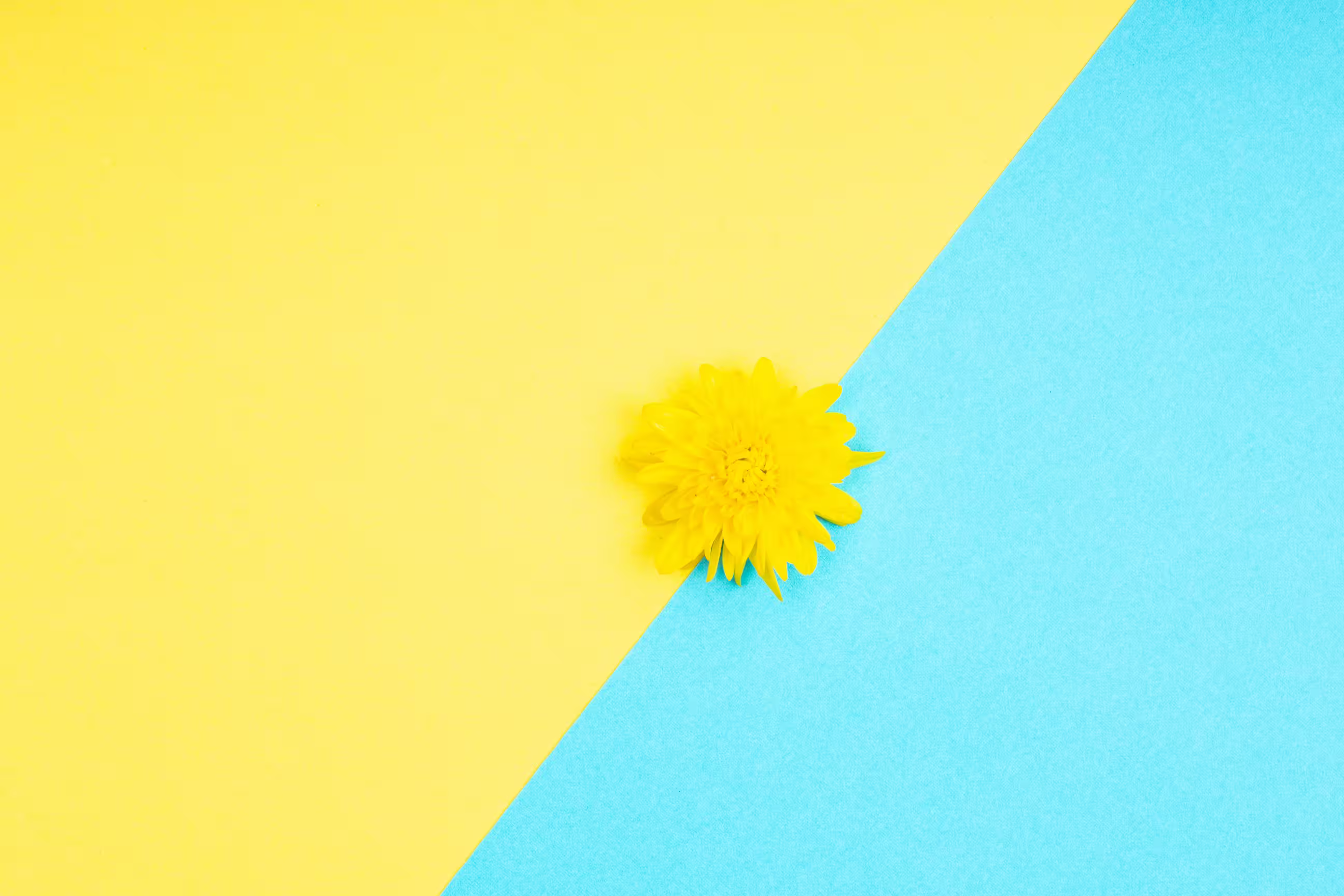 A mix of illustrations and print design supporting internal tools, events, and reports.