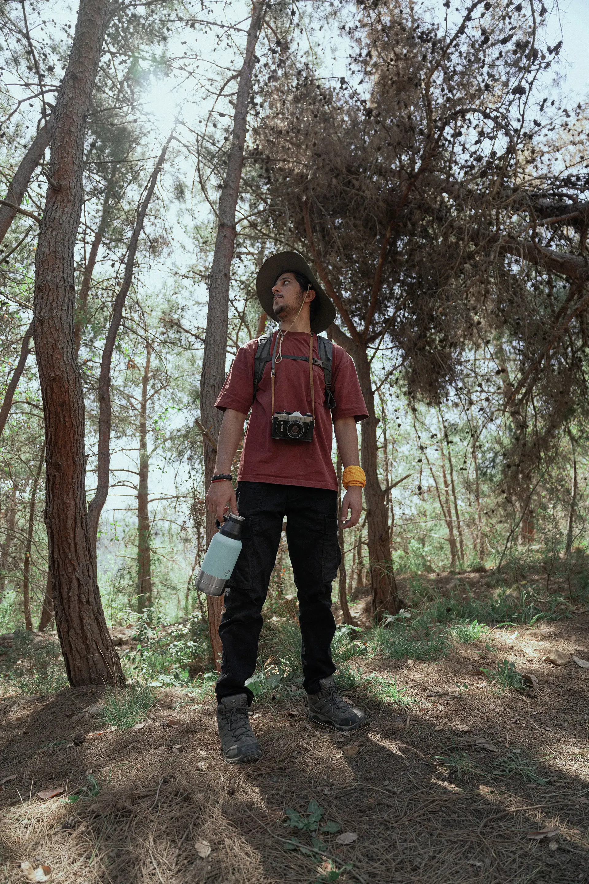 Wild Walks About Image Bottle Bowl