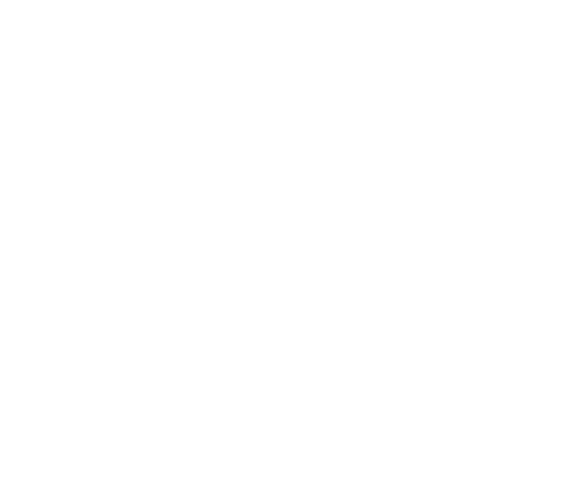 Brique house