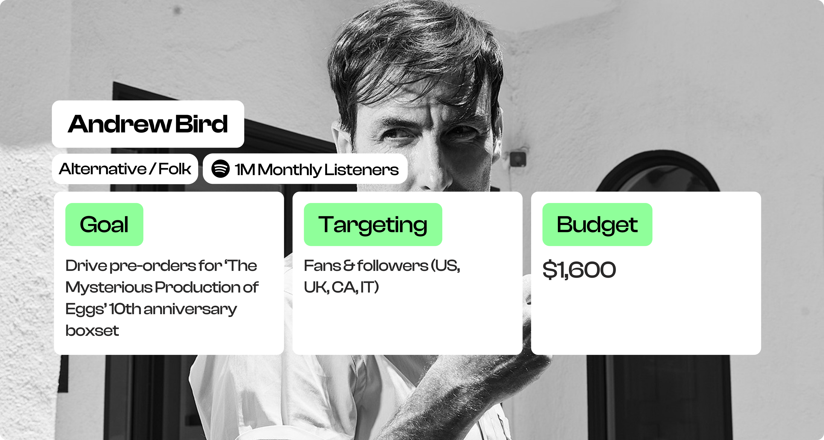 Andrew Bird boxset campaign overview