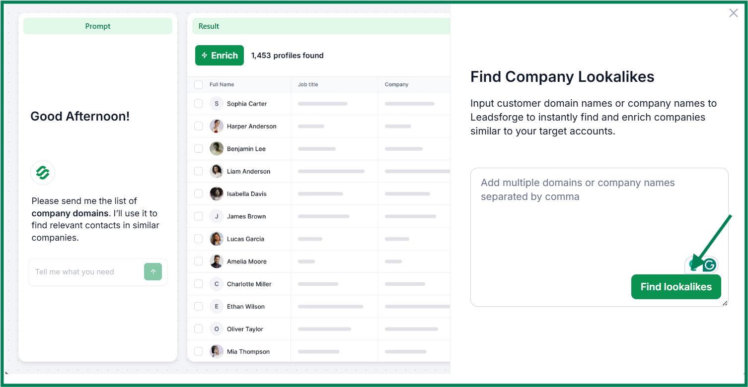 Leadsforge lookalike feature