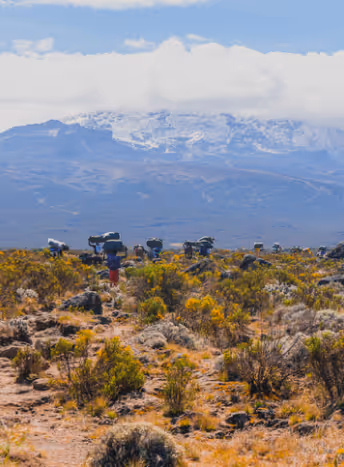 A view from the base of mount Kilimanjaro