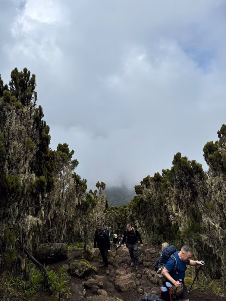 A group of climbers on an Uncharted Summits expedition up Mount Kilimanjaro