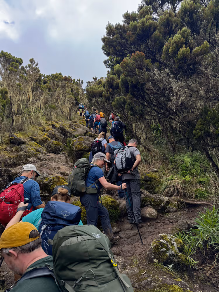 A group treks up the trail climbing mount Kilimanjaro