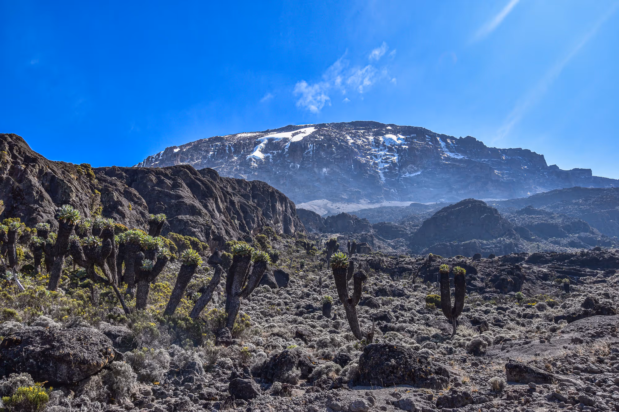 A view of the peak on the Lemosho Route