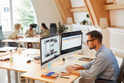 Web development