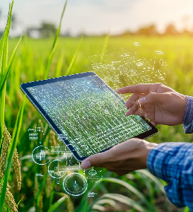 Agro and feed business software