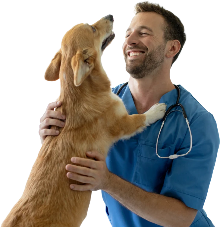 Smiling male veterinarian in blue scrubs holding and embracing a happy golden-brown dog.