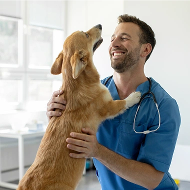 Smiling male veterinarian in blue scrubs holding and embracing a happy golden-brown dog in a bright veterinary clinic room.