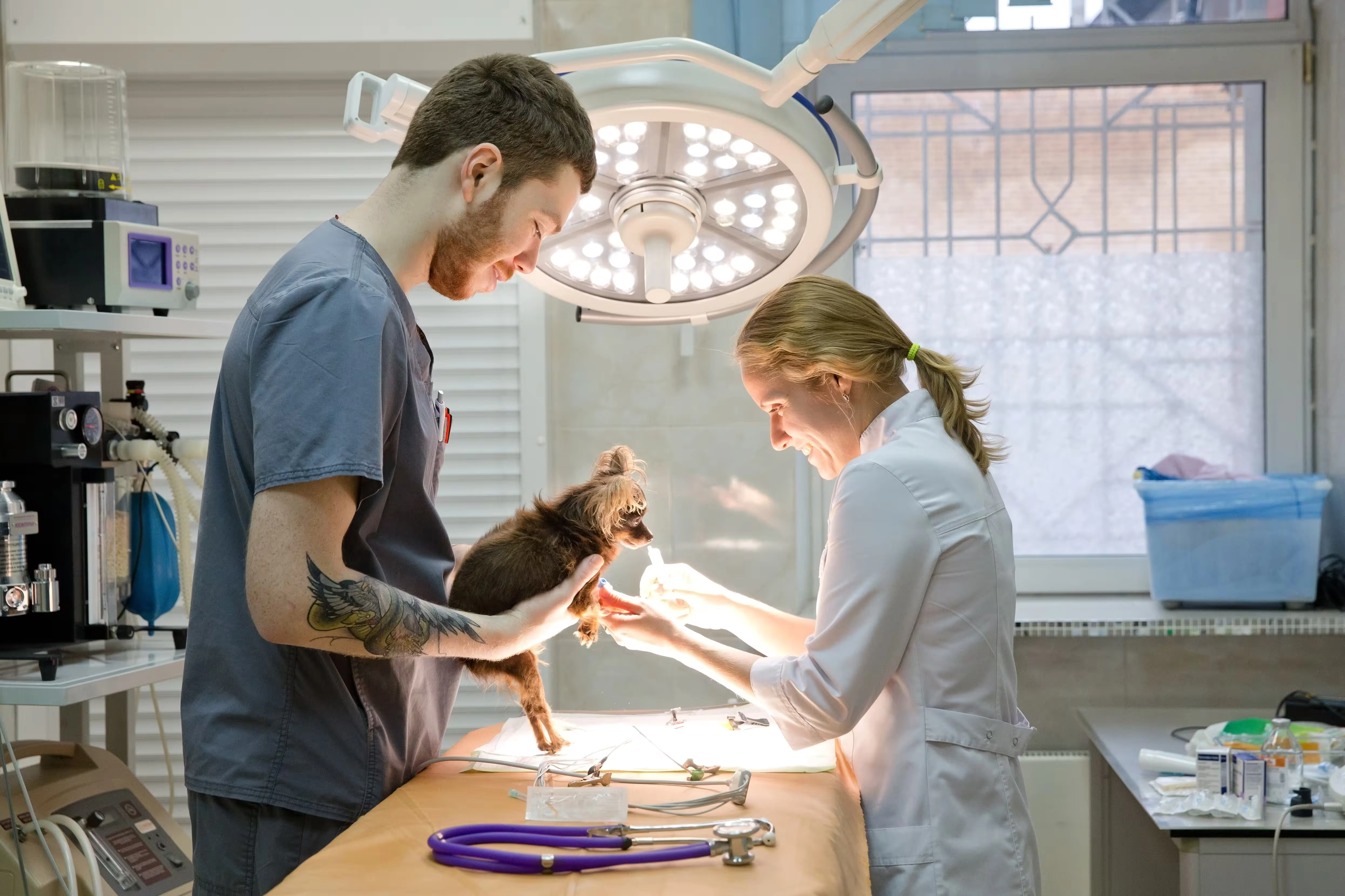 Veterinarians examining a small dog under surgical light in a clinic exam room.