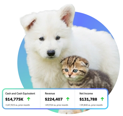 White puppy and tabby kitten with financial stats: cash $14,775K, revenue $224,407, net income $131,788 up.
