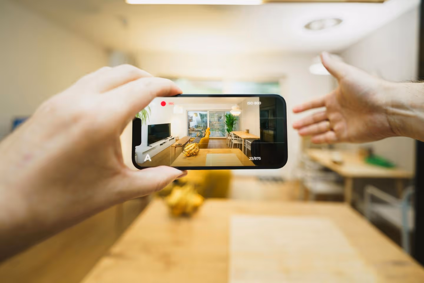 Virtual Visits