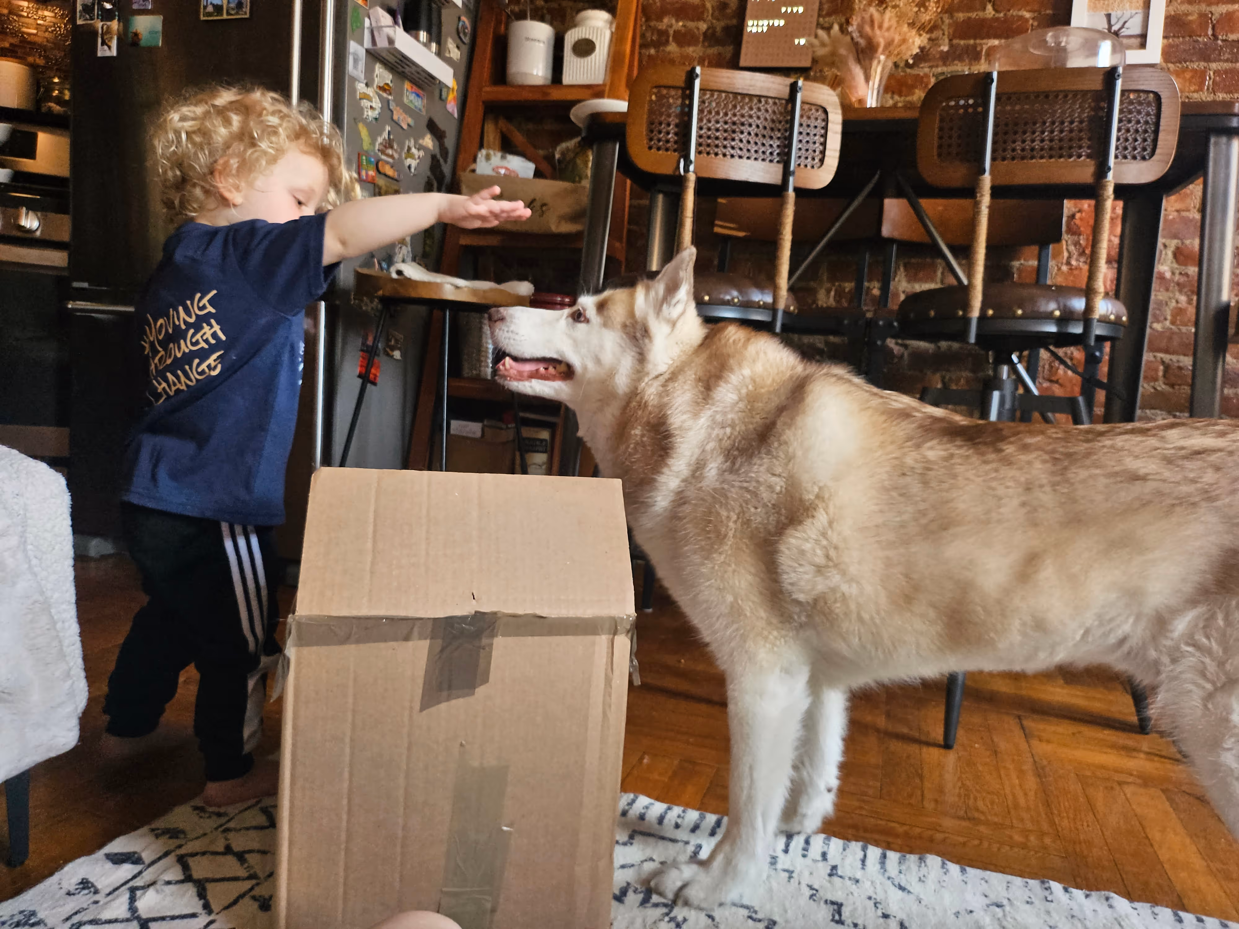Child and dog