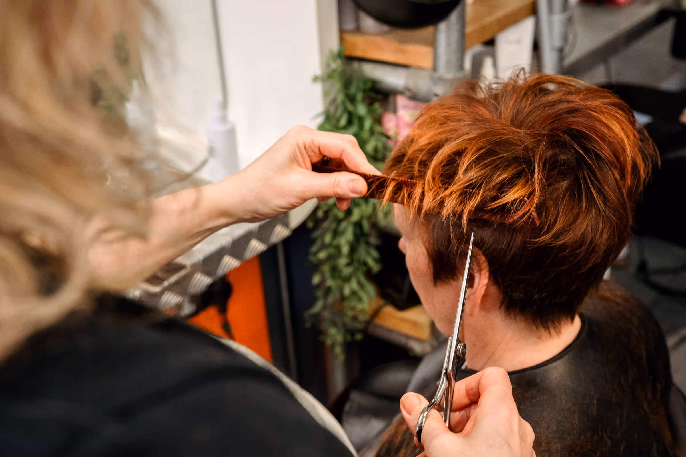 Expert stylist cutting hair