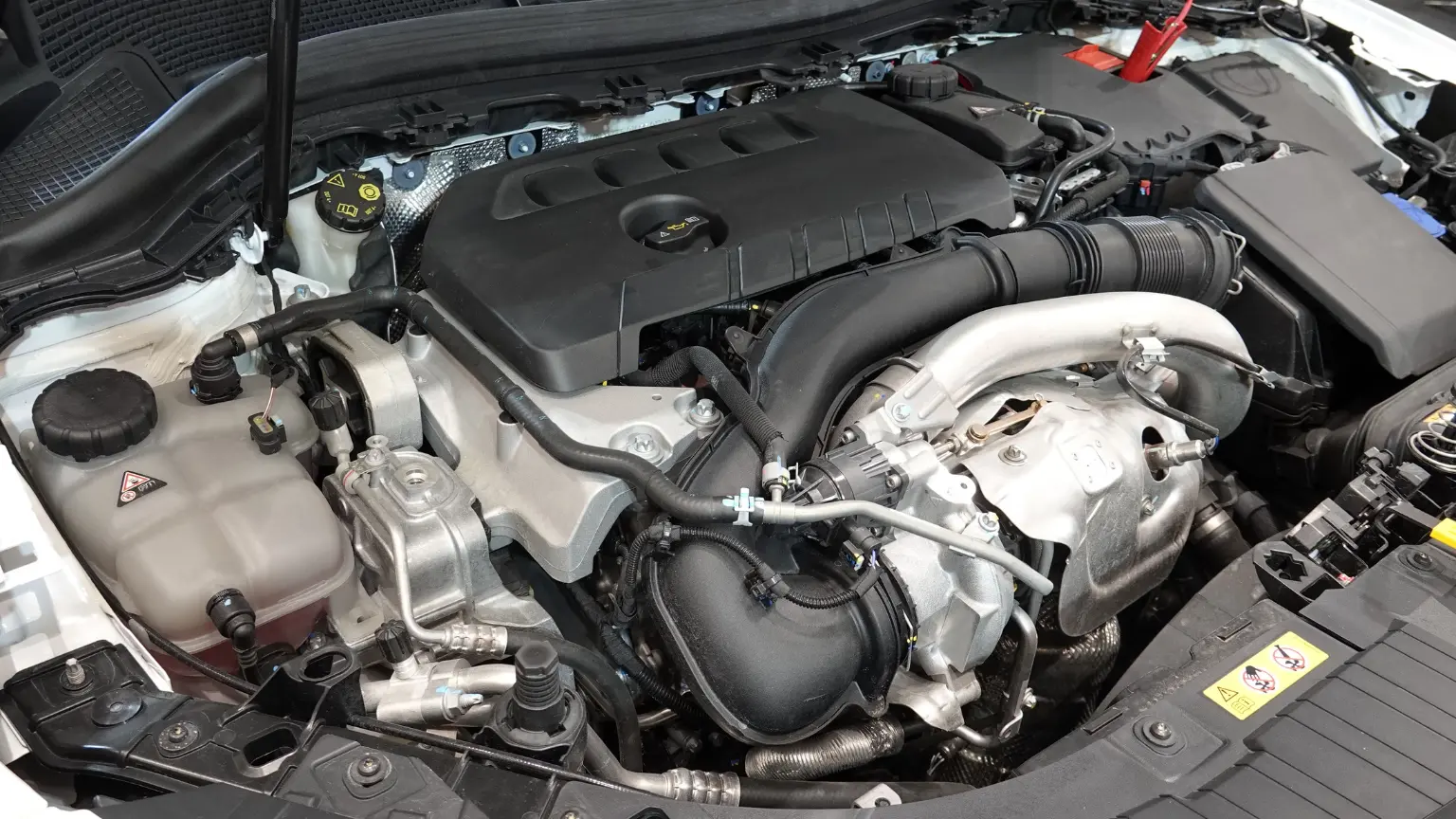 Auto repair center showing a clean engine bay of a modern vehicle ready for diagnostics or service.