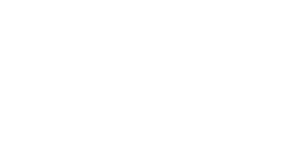 Boels Zanders.png