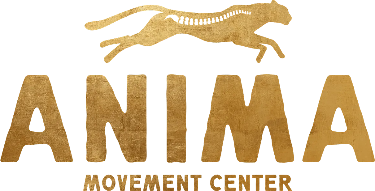 Dr. Bo's Anima Movement Center at San Diego