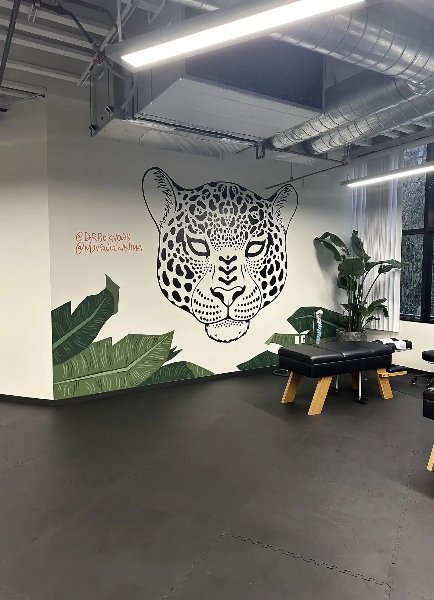 Personalized chiropractic treatment process at Anima Movement Center