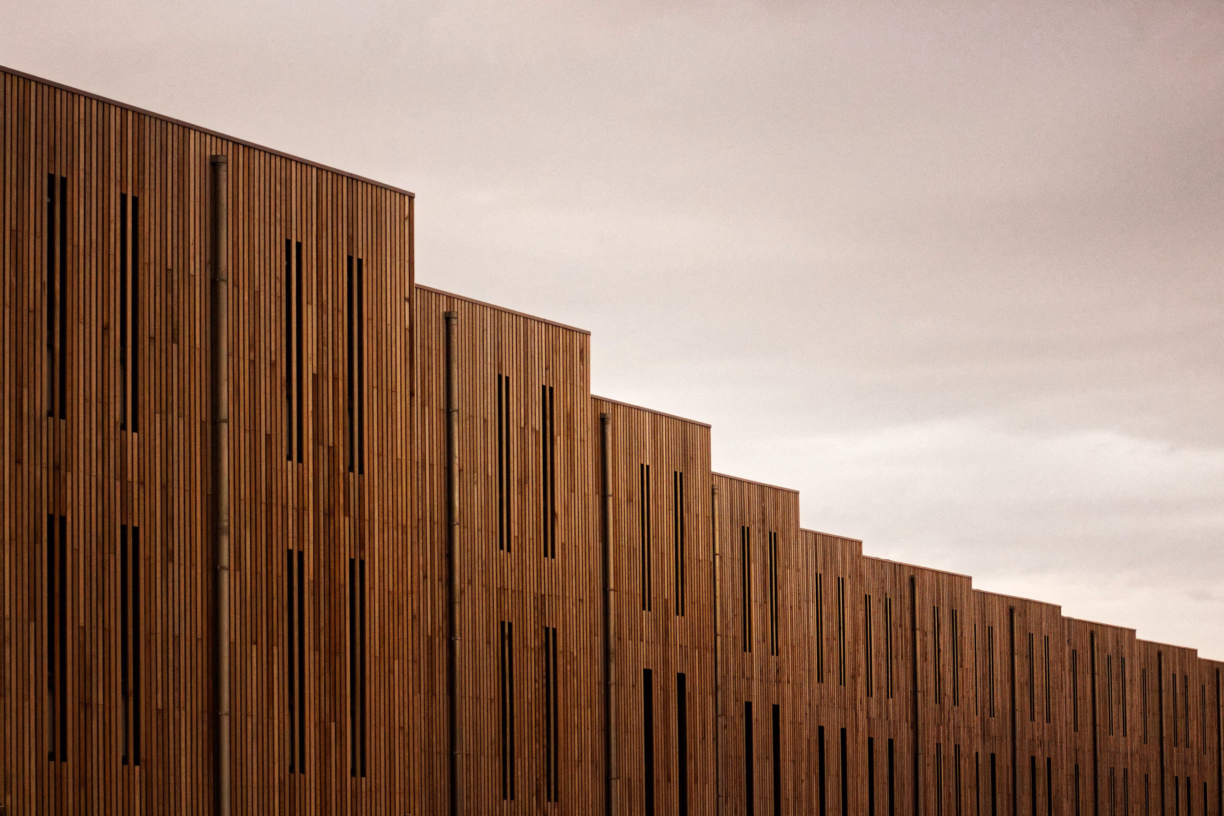 Background About, Wooden BRANT, image, avif