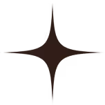 Icon star, brown, avif