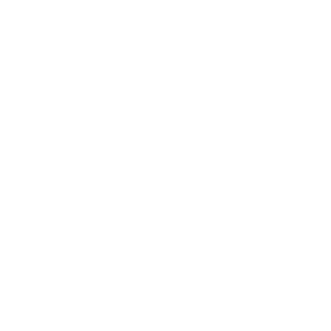 Infeelib Logo