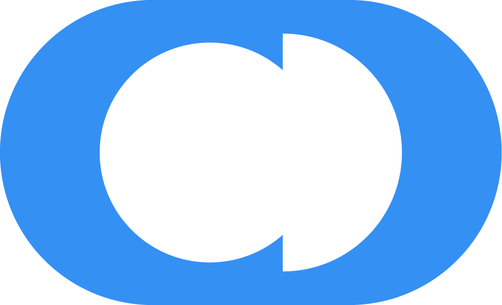 Icon that symbolizes the auditing process